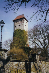 Blick zum Bergfried vom Verwalterhaus